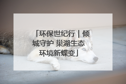 环保世纪行｜倾城守护 巢湖生态环境新蝶变