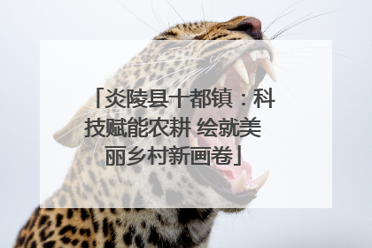 炎陵县十都镇：科技赋能农耕 绘就美丽乡村新画卷