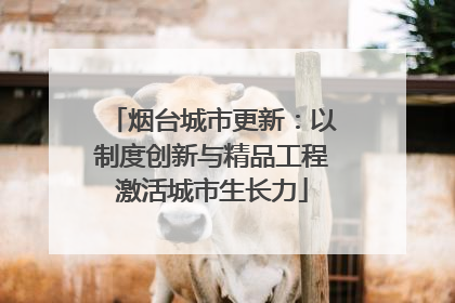烟台城市更新：以制度创新与精品工程激活城市生长力