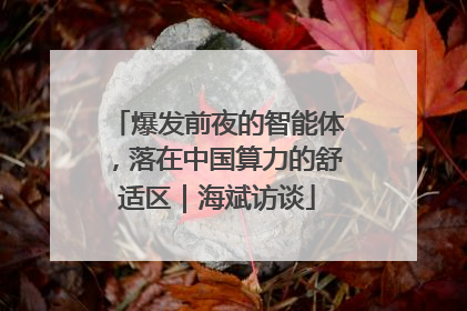 爆发前夜的智能体，落在中国算力的舒适区｜海斌访谈
