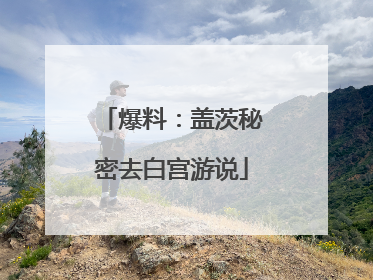 爆料：盖茨秘密去白宫游说