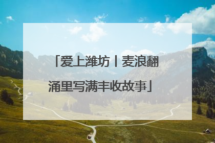 爱上潍坊丨麦浪翻涌里写满丰收故事
