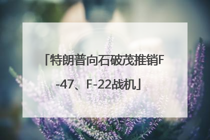特朗普向石破茂推销F-47、F-22战机
