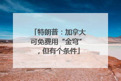 特朗普：加拿大可免费用“金穹”，但有个条件