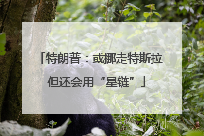 特朗普：或挪走特斯拉 但还会用“星链”