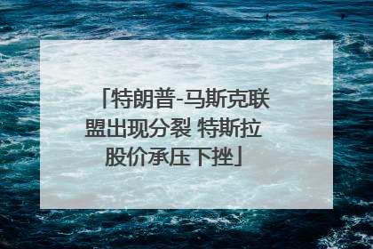 特朗普-马斯克联盟出现分裂 特斯拉股价承压下挫
