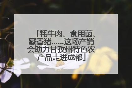 牦牛肉、食用菌、藏香猪……这场产销会助力甘孜州特色农产品走进成都