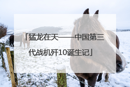 猛龙在天——中国第三代战机歼10诞生记