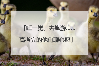 睡一觉、去旅游……高考完的他们聊心愿