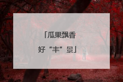 瓜果飘香 好“丰”景