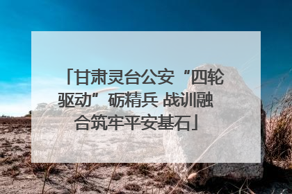 甘肃灵台公安“四轮驱动”砺精兵 战训融合筑牢平安基石