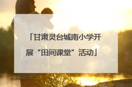 甘肃灵台城南小学开展“田间课堂”活动