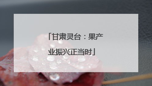 甘肃灵台：果产业振兴正当时