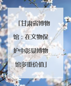 甘肃省博物馆：在文物保护中彰显博物馆多重价值