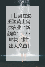 甘肃庄浪重塑黄土高原农业“新颜值”：小地块“拼”出大文章