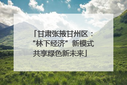 甘肃张掖甘州区：“林下经济”新模式 共享绿色新未来