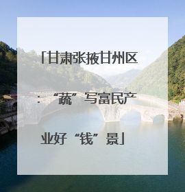 甘肃张掖甘州区：“蔬”写富民产业好“钱”景