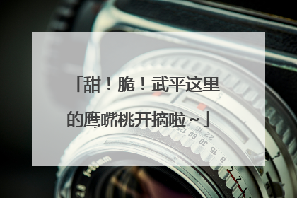 甜！脆！武平这里的鹰嘴桃开摘啦～