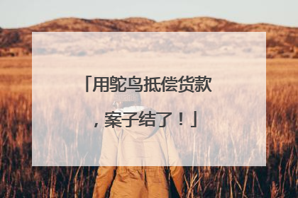 用鸵鸟抵偿货款，案子结了！