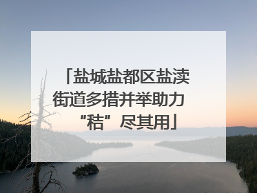 盐城盐都区盐渎街道多措并举助力“秸”尽其用