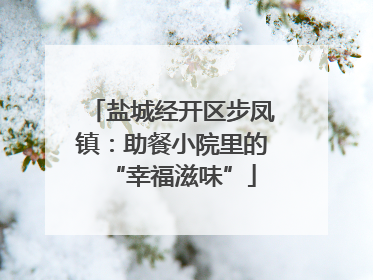 盐城经开区步凤镇：助餐小院里的“幸福滋味”