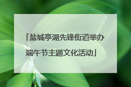 盐城亭湖先锋街道举办端午节主题文化活动