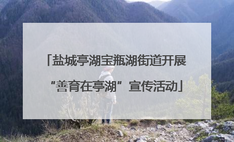 盐城亭湖宝瓶湖街道开展“善育在亭湖”宣传活动
