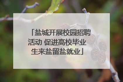 盐城开展校园招聘活动 促进高校毕业生来盐留盐就业