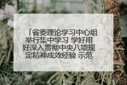 省委理论学习中心组举行集中学习 学好用好深入贯彻中央八项规定精神成效经验 示范带头持续推动全省学习教育走深走实