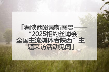 看陕西发展新图景——“2025相约丝博会 全国主流媒体看陕西”主题采访活动见闻