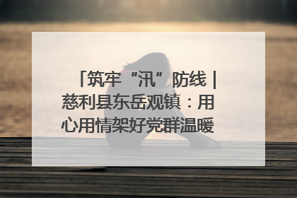 筑牢“汛”防线｜慈利县东岳观镇：用心用情架好党群温暖悠长的“连心桥”