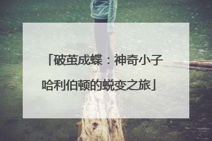破茧成蝶：神奇小子哈利伯顿的蜕变之旅