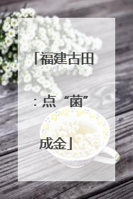 福建古田：点“菌”成金