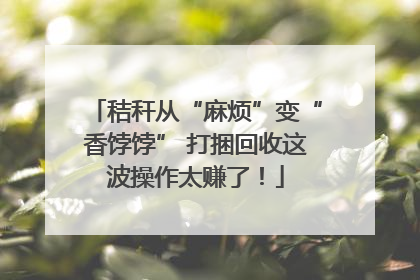 秸秆从“麻烦”变“香饽饽” 打捆回收这波操作太赚了！