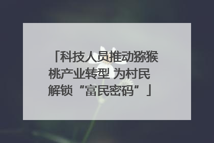 科技人员推动猕猴桃产业转型 为村民解锁“富民密码”