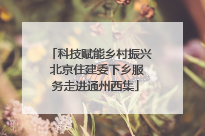 科技赋能乡村振兴 北京住建委下乡服务走进通州西集