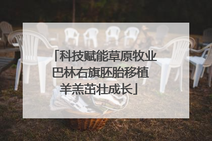 科技赋能草原牧业 巴林右旗胚胎移植羊羔茁壮成长