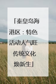 秦皇岛海港区：特色活动人气旺 传统文化焕新生