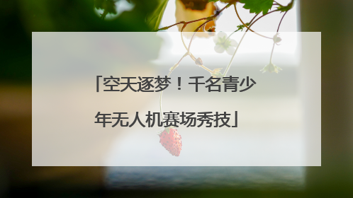 空天逐梦！千名青少年无人机赛场秀技