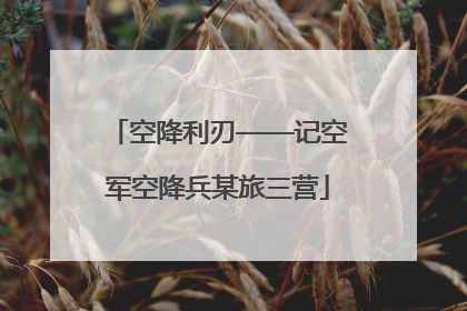 空降利刃——记空军空降兵某旅三营