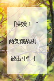 突发！“两架俄战机被击中”