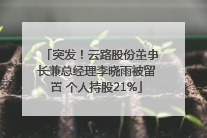 突发！云路股份董事长兼总经理李晓雨被留置 个人持股21%
