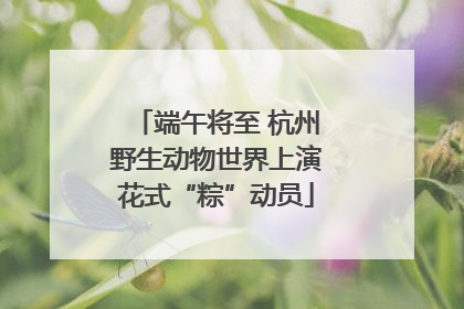 端午将至 杭州野生动物世界上演花式“粽”动员