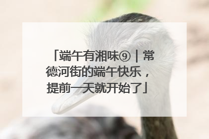 端午有湘味⑨｜常德河街的端午快乐，提前一天就开始了