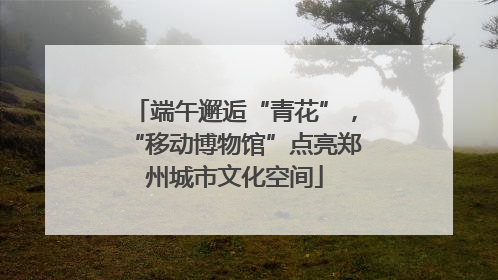 端午邂逅“青花”，“移动博物馆”点亮郑州城市文化空间