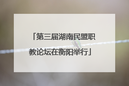 第三届湖南民盟职教论坛在衡阳举行