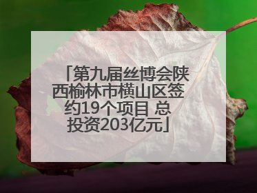 第九届丝博会陕西榆林市横山区签约19个项目 总投资203亿元