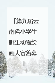 第九届云南省小学生野生动物绘画大赛落幕
