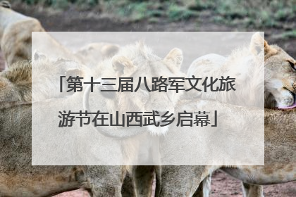 第十三届八路军文化旅游节在山西武乡启幕