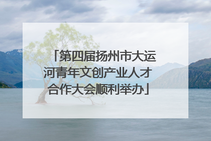 第四届扬州市大运河青年文创产业人才合作大会顺利举办